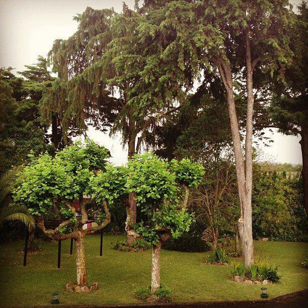 מלון סינטרה Quinta De Sao Francisco מראה חיצוני תמונה
